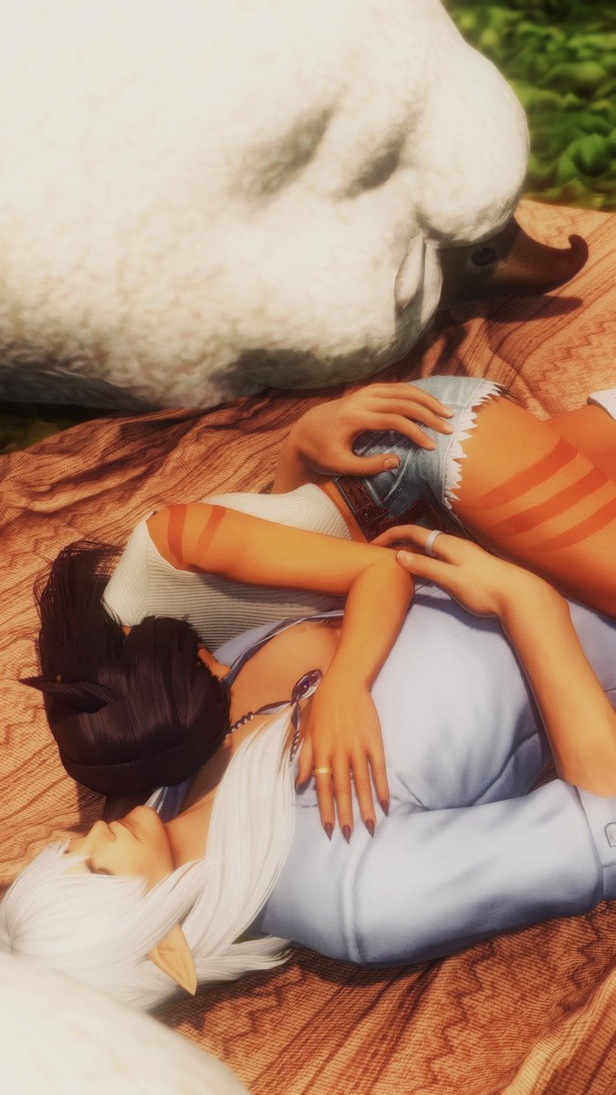 #wolstinienweek2023 
Day 2: Nap 

Soaking in those evening sunrays ☀️ 

#GPOSERS #miqote