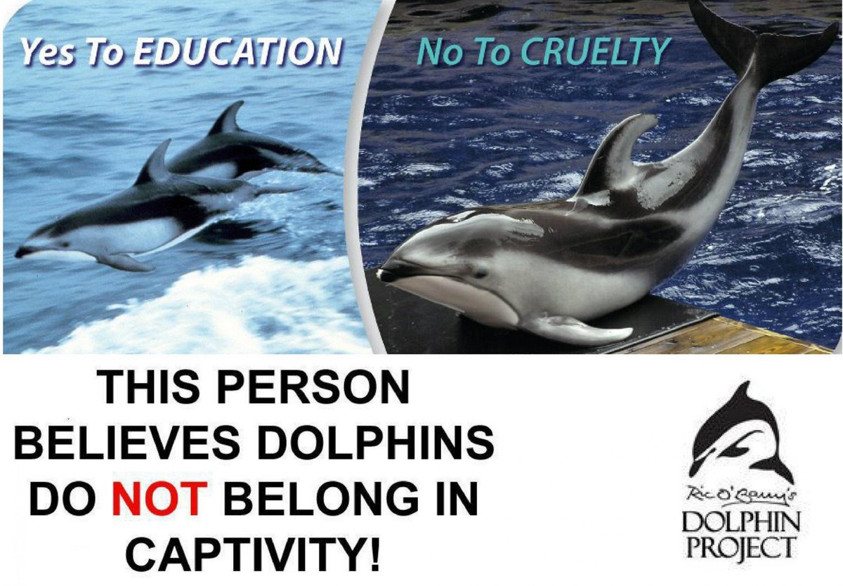 @Dolphin_Project #DontBuyATicket #CaptivityKills #EmptyTheTanks #SayNoToTheDolphinShow #EndCaptivity #CaptivitySucks #BornToBeWild