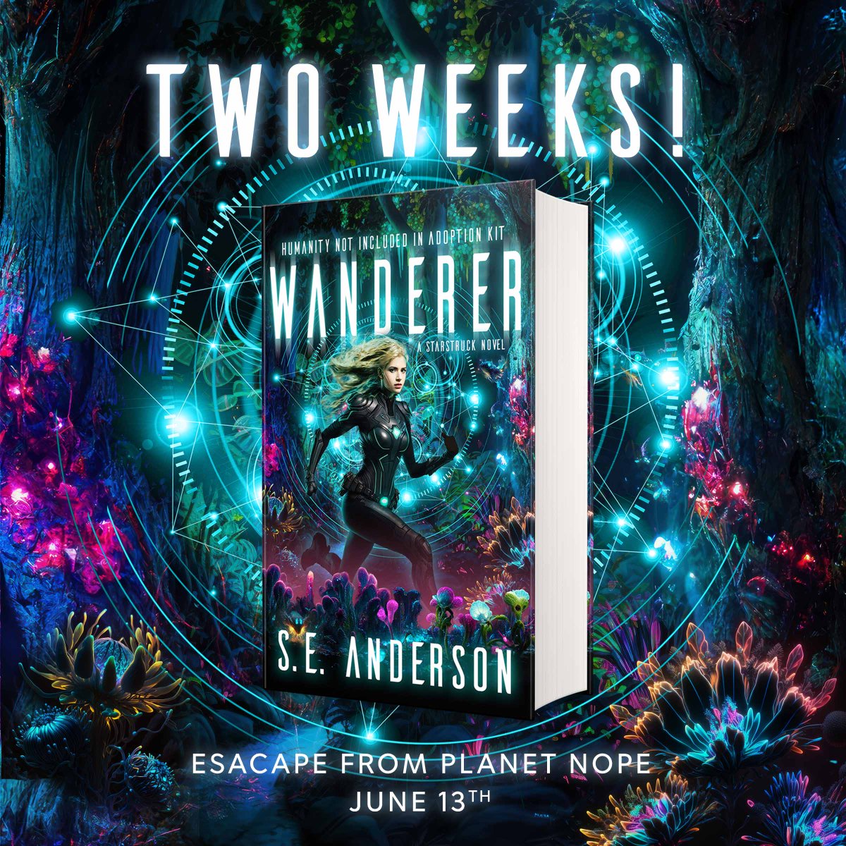 Bolide Publishing tweet media