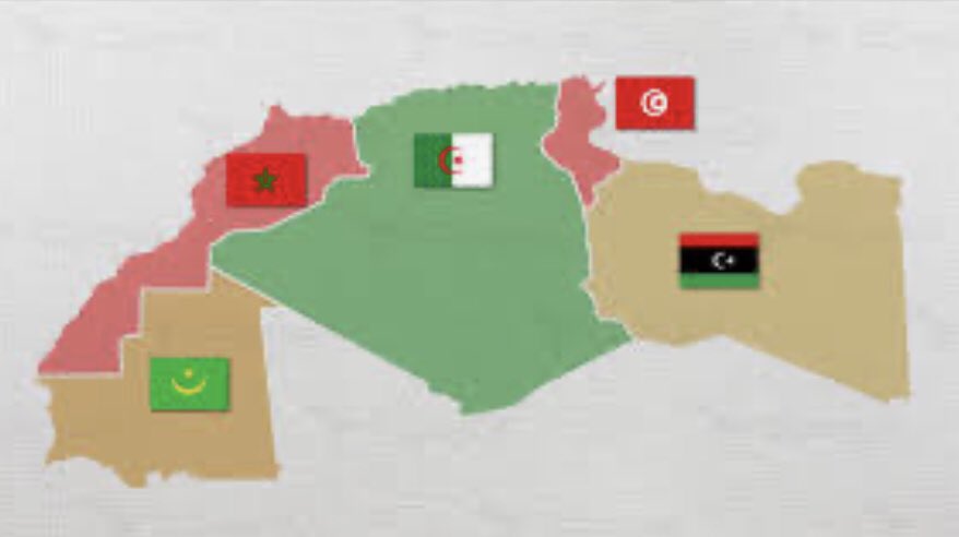 الحل العادل والعملي الوحيد لنزاع #الصحراء_الغربية، الذي سمم العلاقة بين #المغرب و #الجزائر لعقود، هو حكم ذاتي ضمن الدولة المغربية، تمهيدا لوحدة مغاربية جامعة، يجد فيها الجميع -بمن فيهم الصحراويون- أنفسهم في فضاء حضاري وسياسي  واحد، بعيداً عن الأنانيات السياسية والعصبيات الضيقة