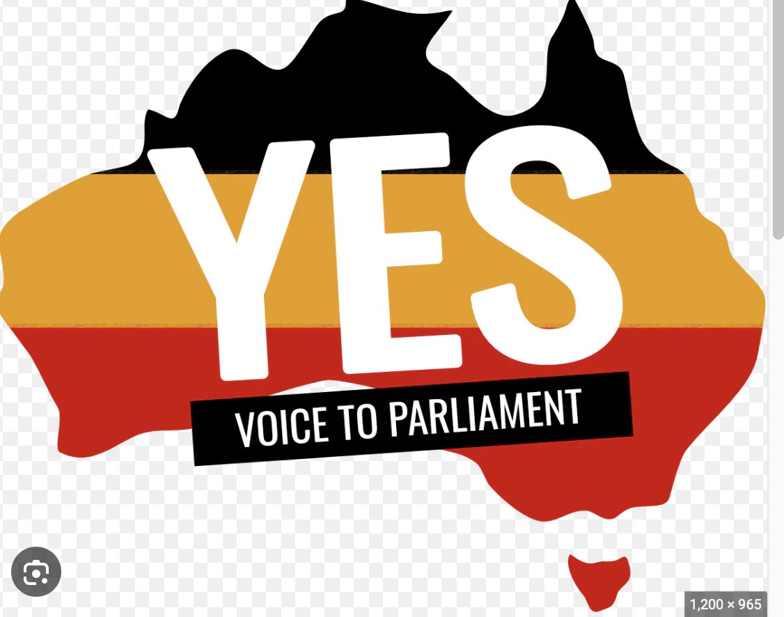 _Schrami_'s tweet image. I note the troll army have forced a "no" trend in the #auspol referendum on #THEVOICE for indigenous people . If you're paying attention please counter with the opposite - #VotingYes #voteyes #VoteYesAustralia  #australia #IndigenousRights #VoiceToParliament