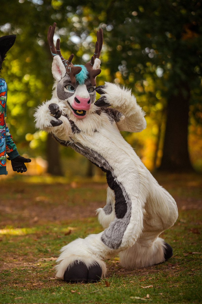 Røͩʀͤᴇͤᴋͬ 🔜 TFF tweet media