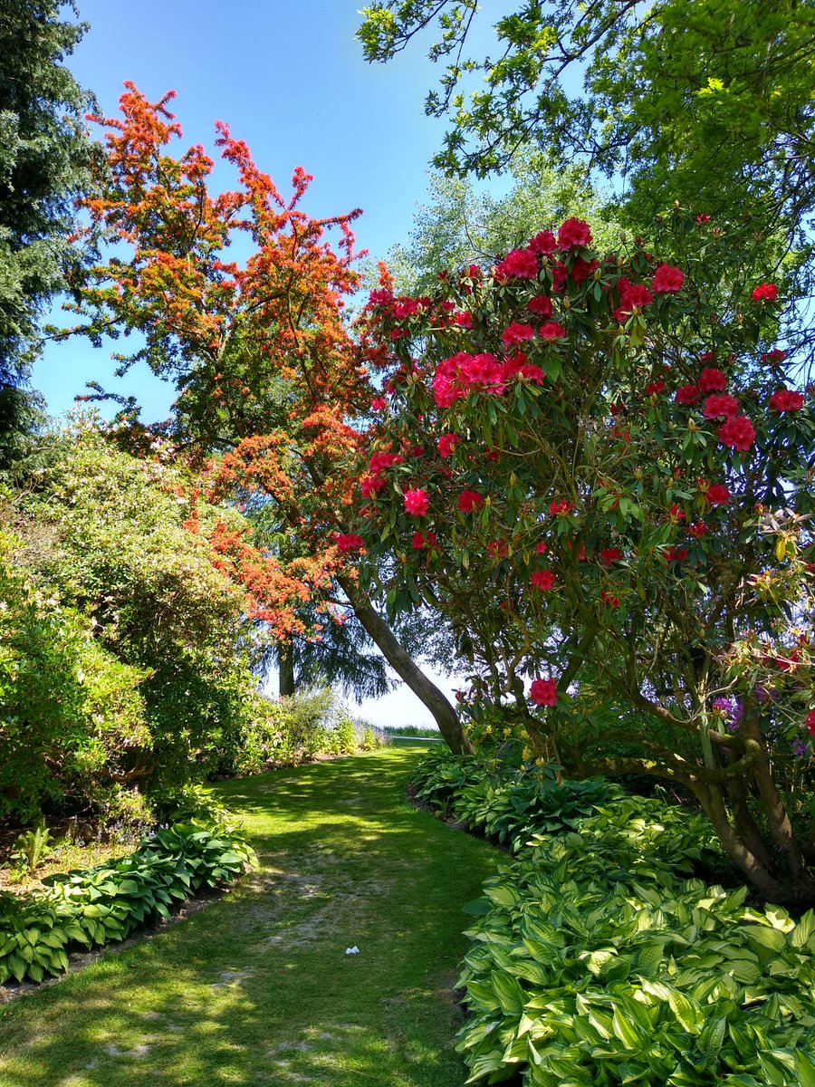 BrixMania - Sharon Moschopoulou tweet media