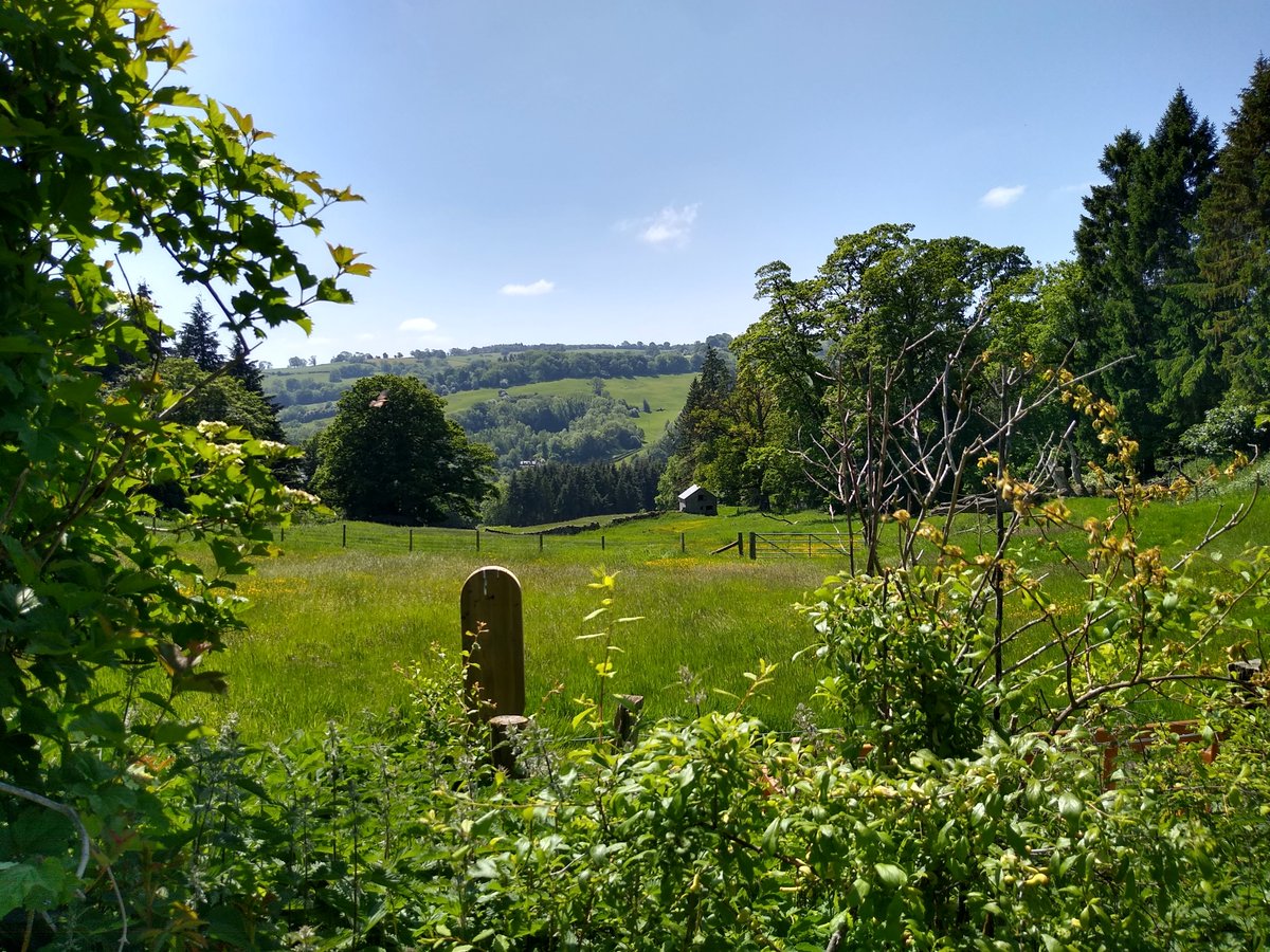 BrixMania - Sharon Moschopoulou tweet media