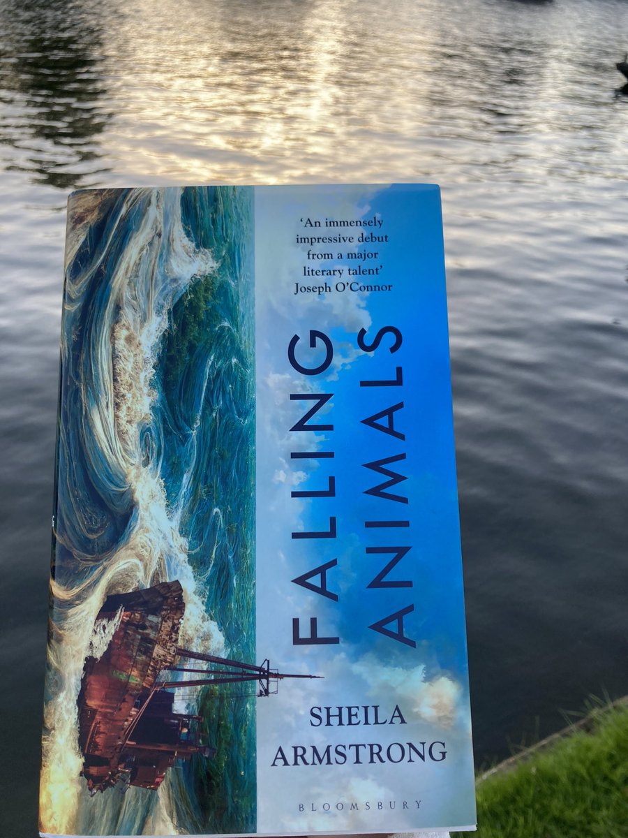 atomryan's tweet photo. This week’s Friday night river read: #FallingAnimals by @Sheela_no_gig, excellent! https://t.co/5ZUT6M5Zh9