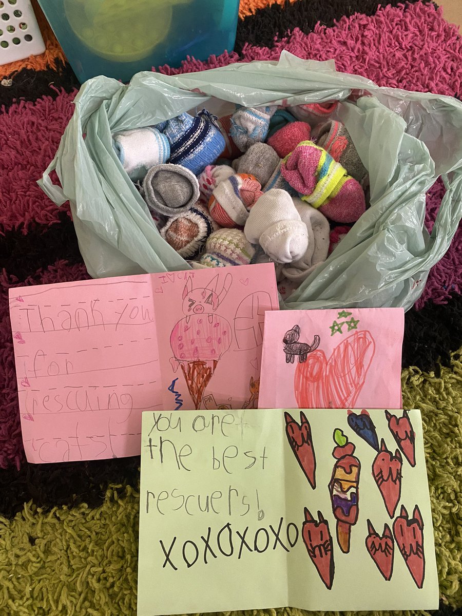 msEschmidt's tweet photo. The grade ones at @RoseComSchool made cat nip toys and cards to donate to @reginahumane to fill their “buckets” with kindness. #AnimalLovers #KindnessMatters https://t.co/AXAc8ZvE5G