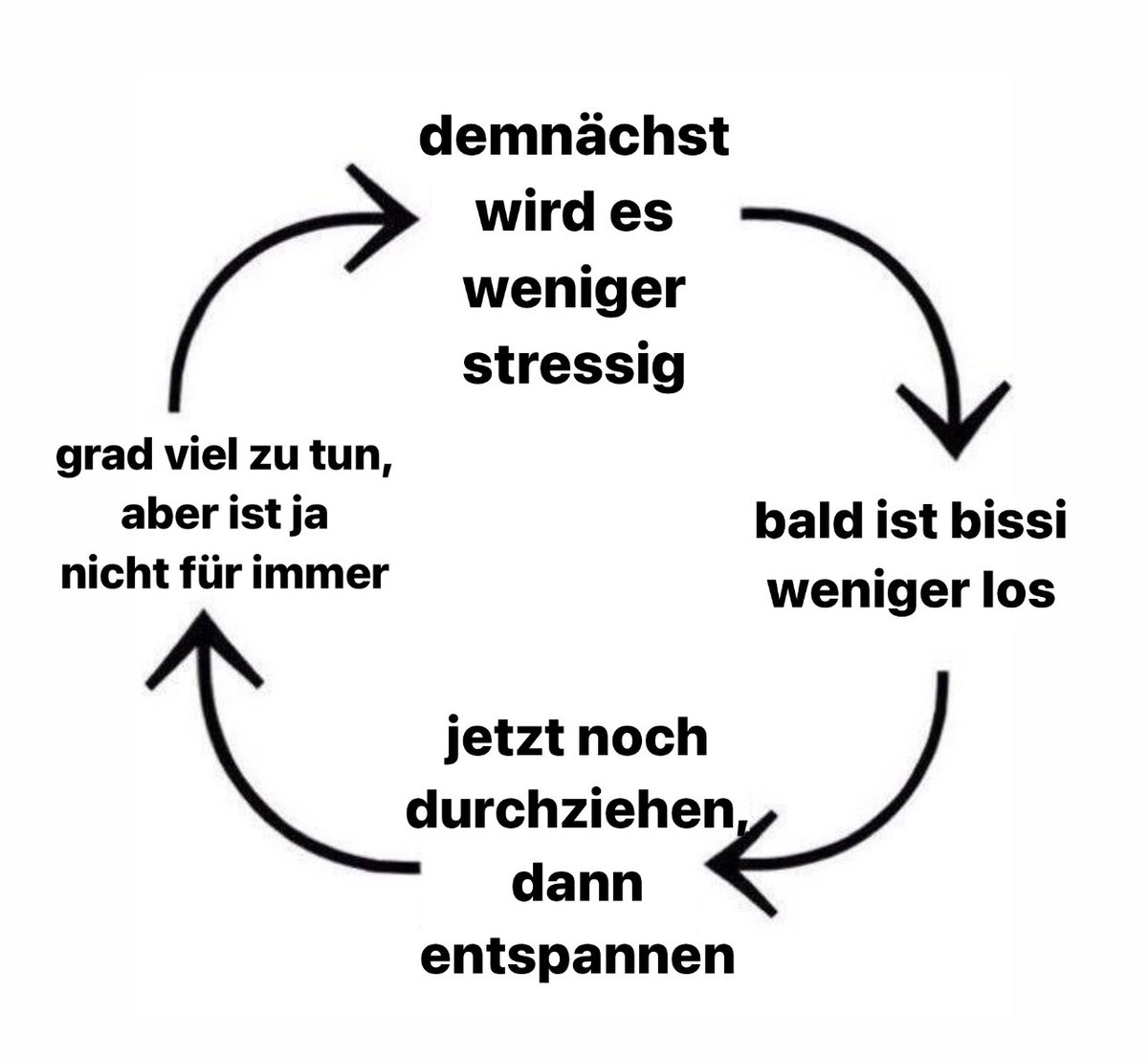 elhotzo's tweet image. 