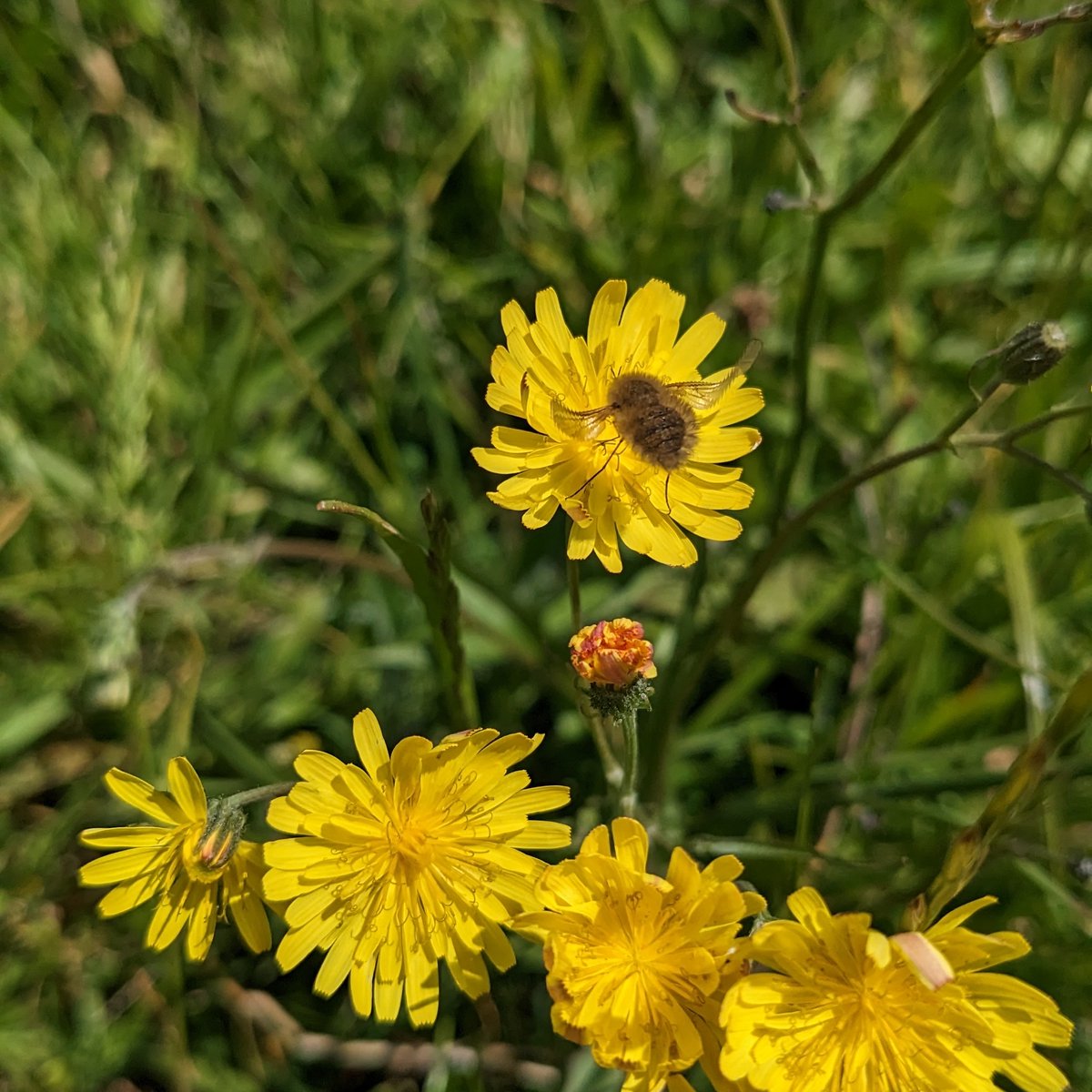 Rebecca Hughes tweet media