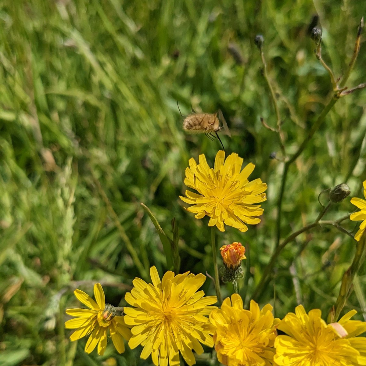 Rebecca Hughes tweet media