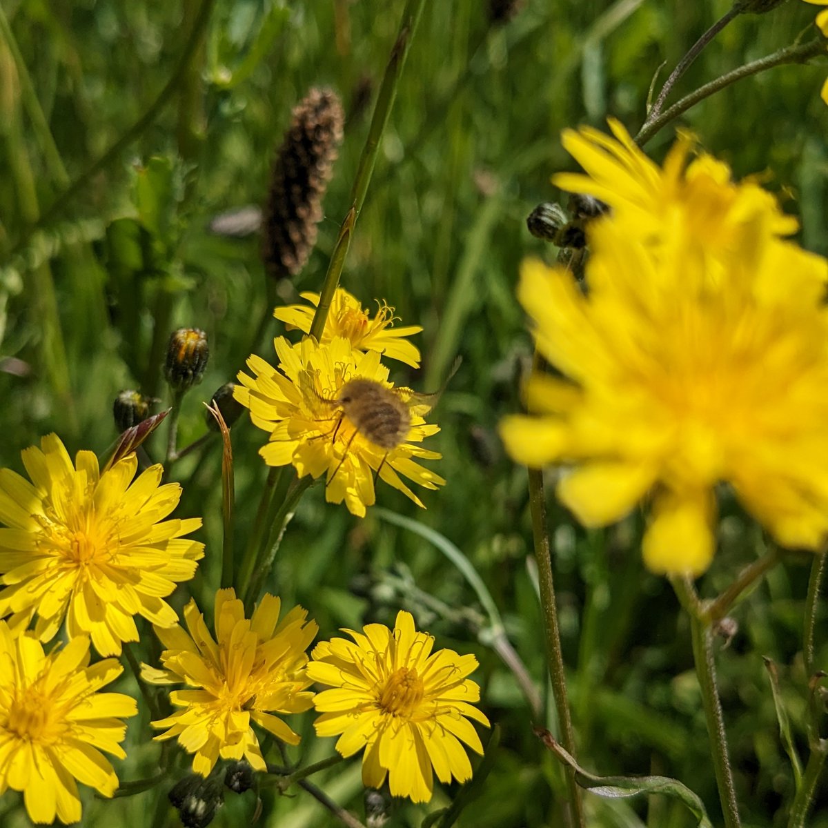 Rebecca Hughes tweet media