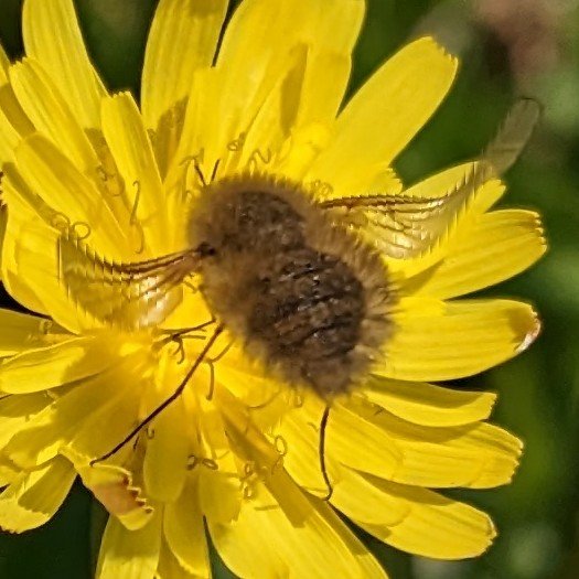 Rebecca Hughes tweet media