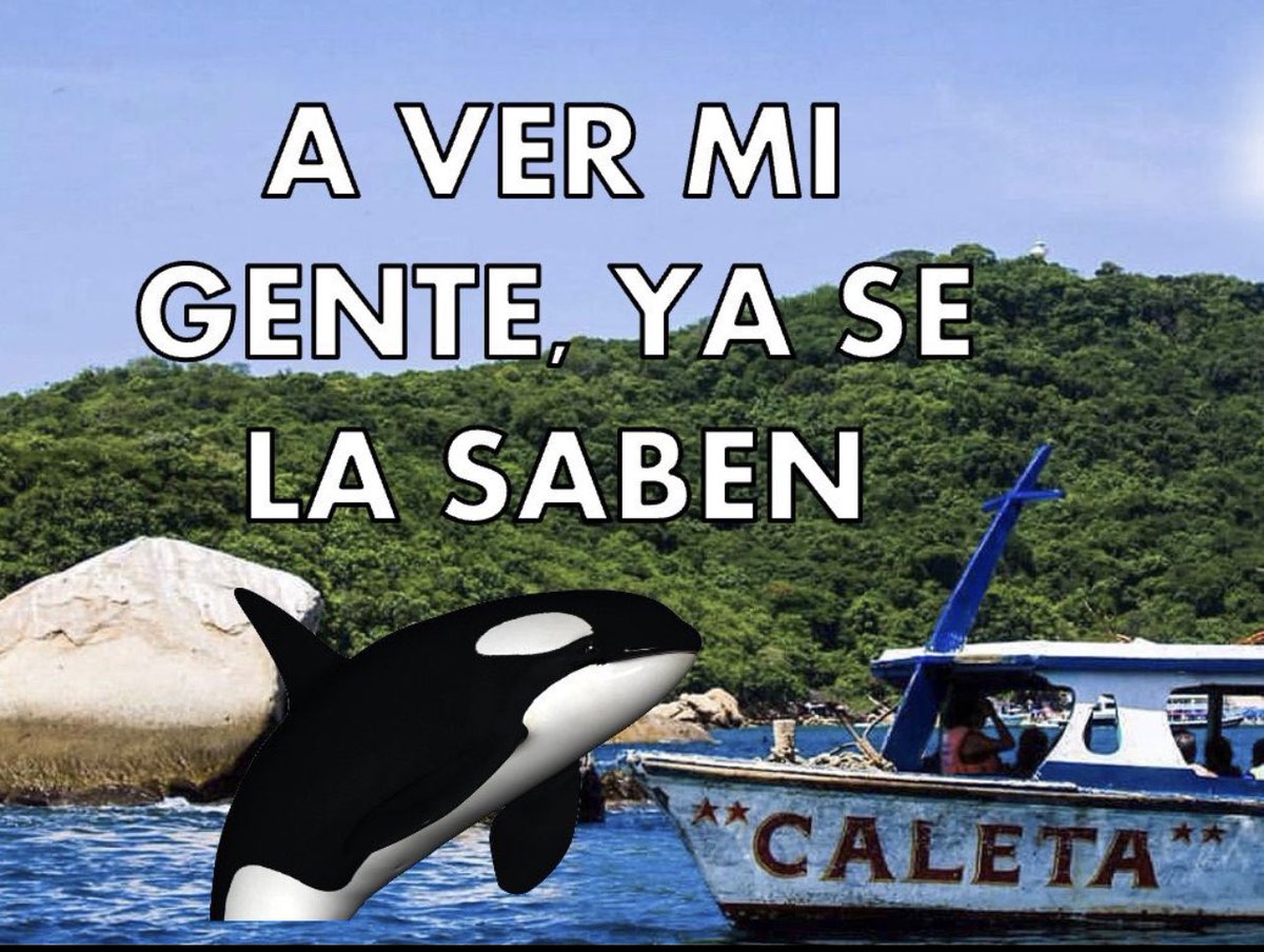 carlostomasini's tweet photo. Si Gladis fuera mexicana. https://t.co/x0Upq8n8LW