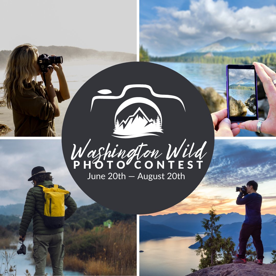 Washington Wild tweet media