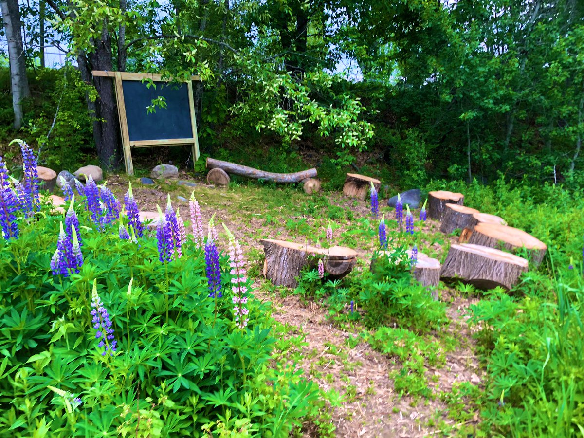 Noah Charney tweet media