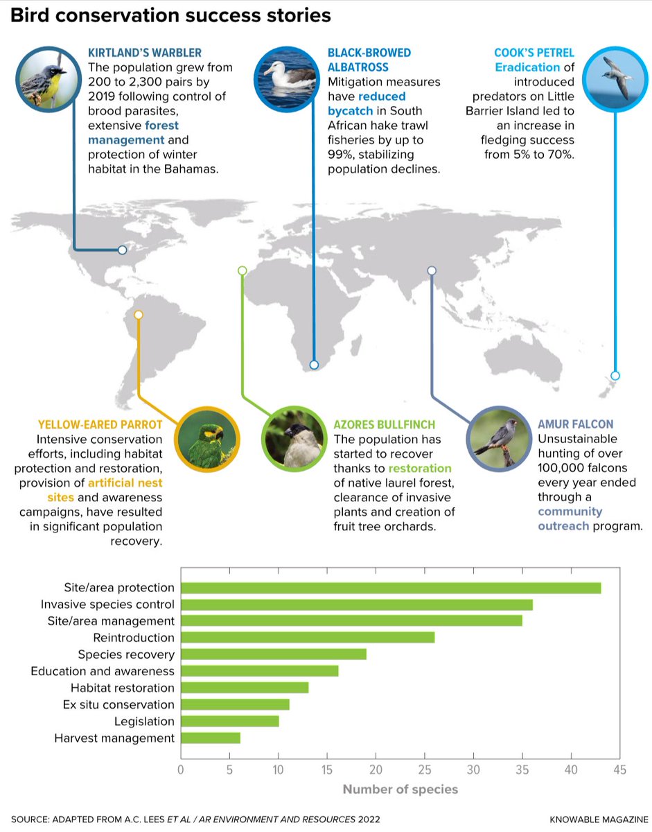 Love Birds?
Check out these Bird Conservation Success Stories @KnowableMag 
knowablemagazine.org/article/living… #ConservationOptimism