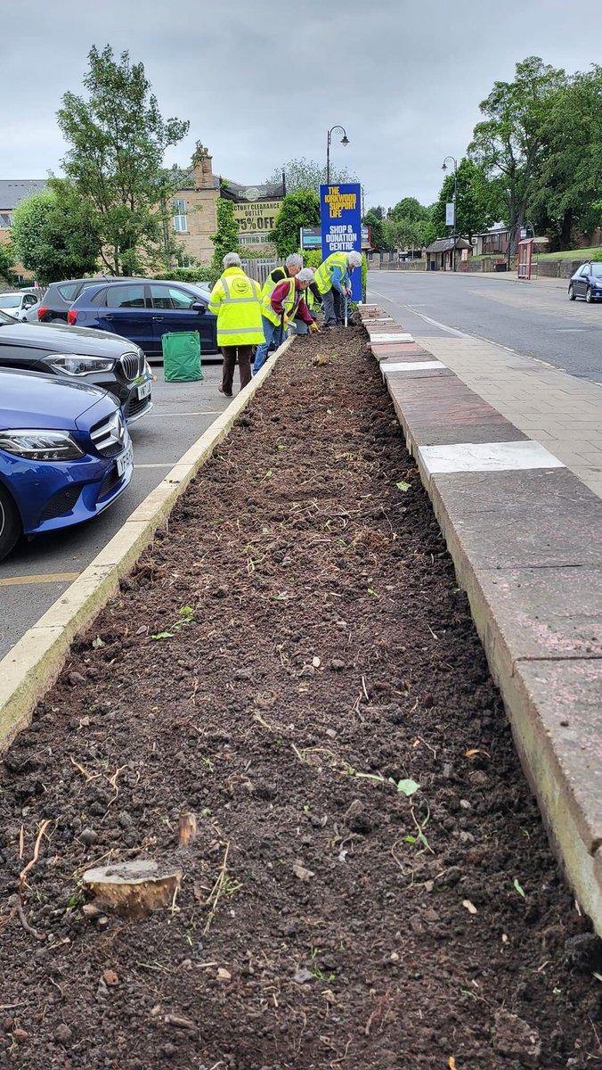 mirfieldinbloom's tweet photo. Bed now clear of weeds and dead plants. https://t.co/F9RiubVAC1