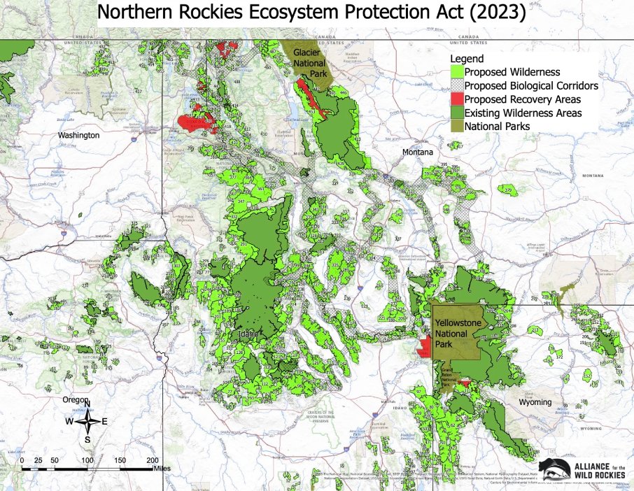 WildernessWatch's tweet photo. This map is as beautiful as it is inspiring!

If you think so too, please help to make the visionary Northern Rockies Ecosystem Protection Act a reality.

—> https://t.co/LpU8S23cSL https://t.co/GYIXKOmr0f