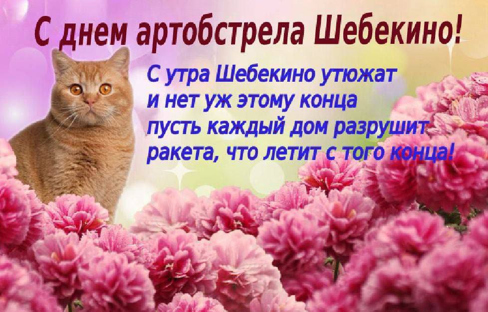 Inigo Montoya (@kapbabra1) on Twitter photo 