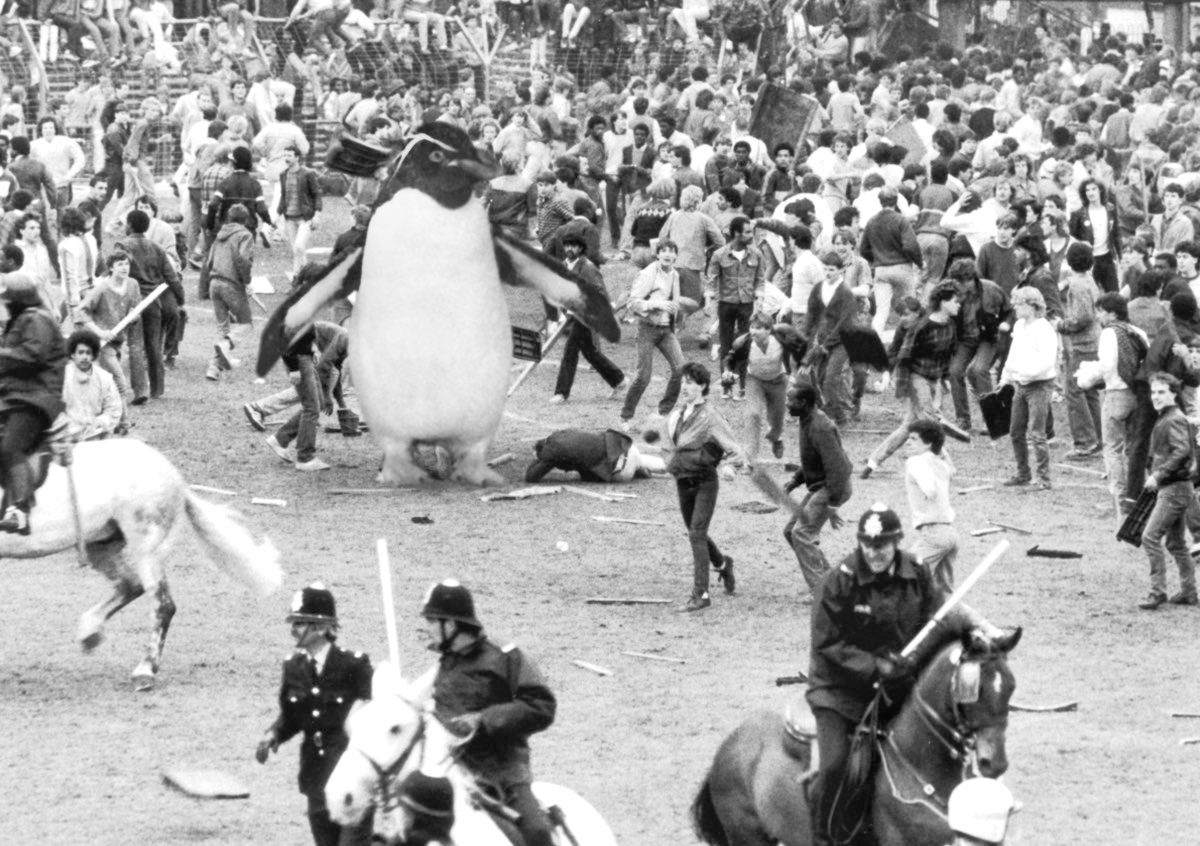 beastsofyore's tweet photo. ‘Big Tony’ a 15ft Rockhopper penguin &amp; life long Carlisle Utd fan, can be seen in clashes with Notts county supporters during the 1974 Findus Pancake Cup Final at Wembley. Tony was the ‘guvnor’ of the Carlisle firm for years until accidentally burying himself in a shallow grave. https://t.co/Fh6QAcMkuh