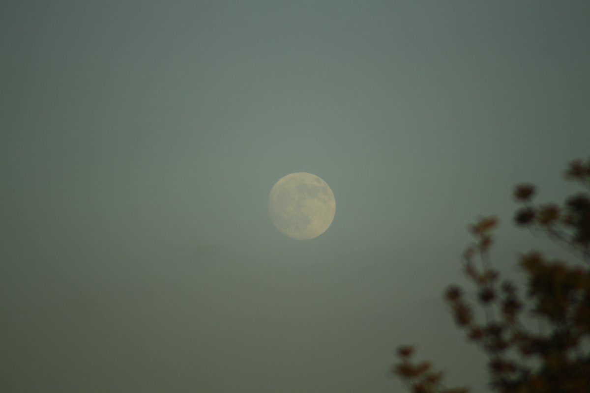 giopagliari's tweet photo. 97.7% Full Moon at Wimbledon, London, 2 June 2023, 20:39
https://t.co/I1ereCJG4a
#StrawberryMoon #HoneyMoon #MeadMoon #FullMoon
For @MoonHourSocial @MoonHour321 https://t.co/1nM36BkB3N