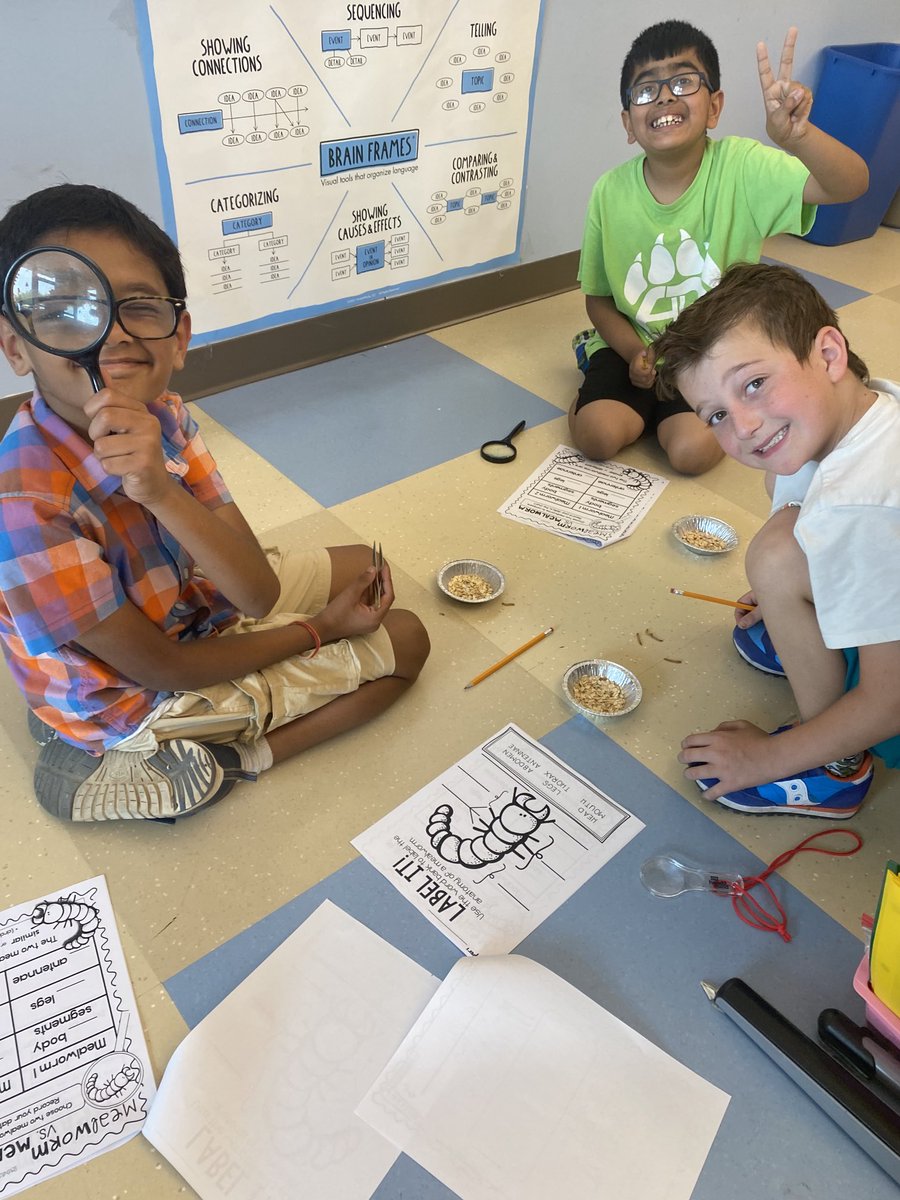 Michelle McDonald tweet media