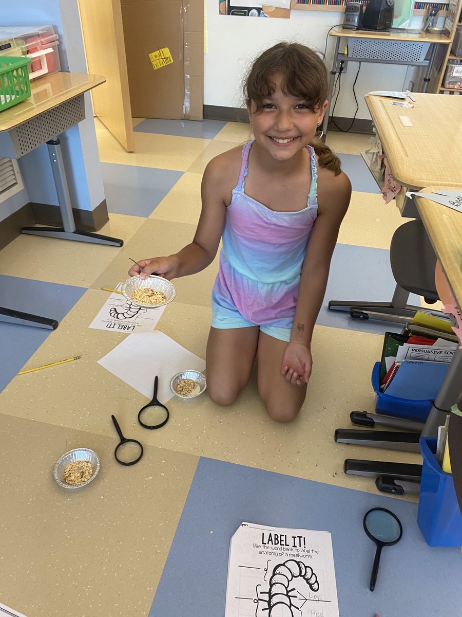 Michelle McDonald tweet media