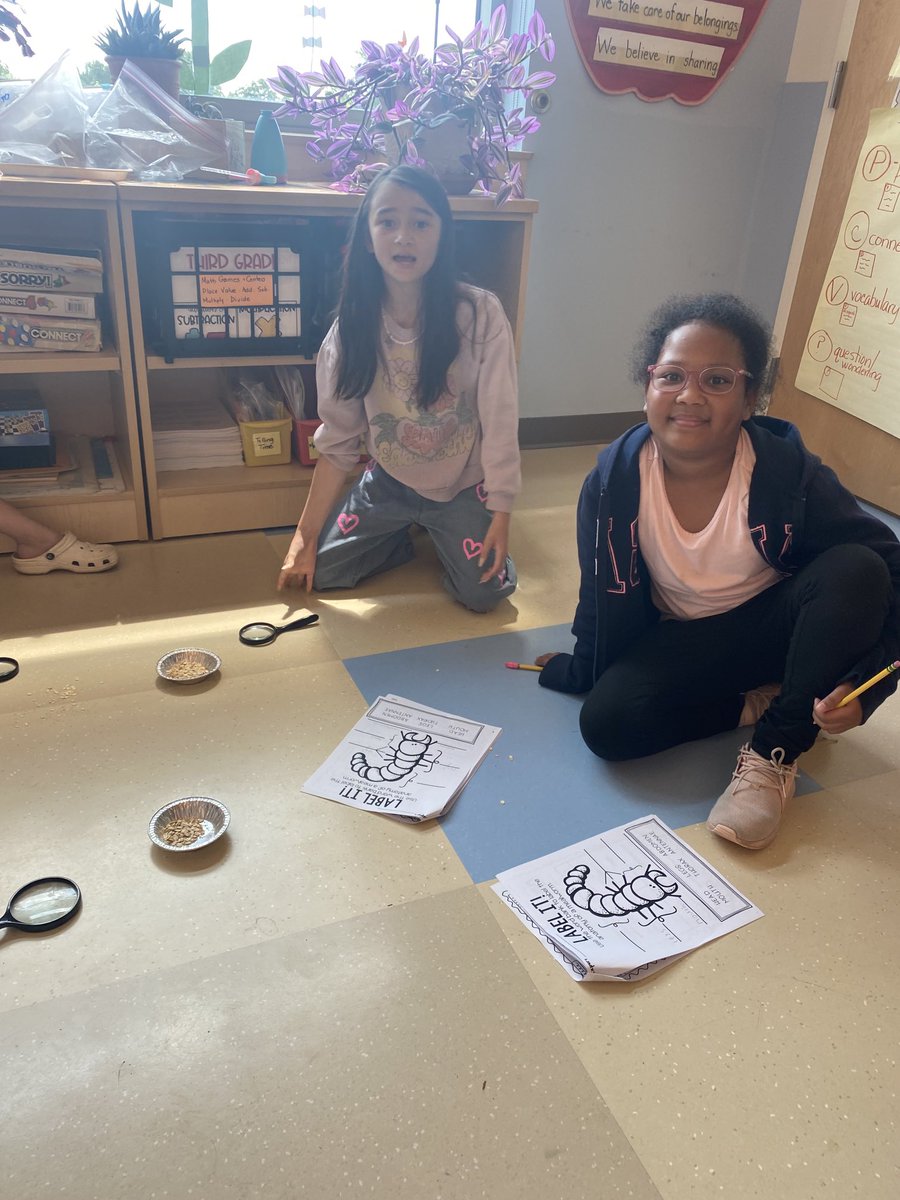 Michelle McDonald tweet media