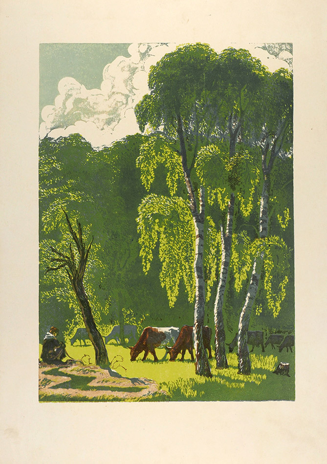 🌱Soviet Postcards 🕊🌷 (SovietPostcards) / Twitter