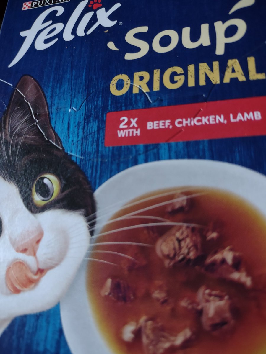 holly_cat7's tweet photo. Mana gave me some soup tiday. Lamb soup this afternoon and Chicken soup just now.  Don't worry, it's not human soup, it be kitty soup made by Felix. https://t.co/H7soNYH54q