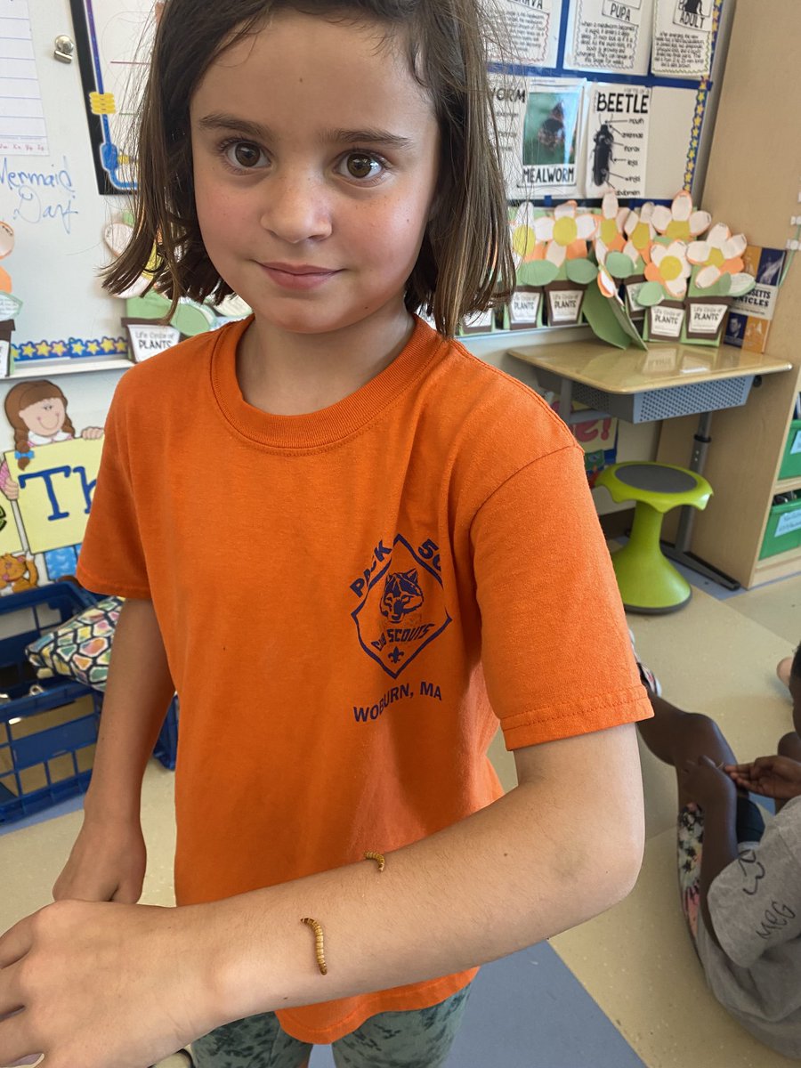 Michelle McDonald tweet media