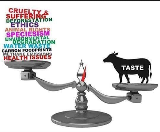 Which weighs more in your mind?