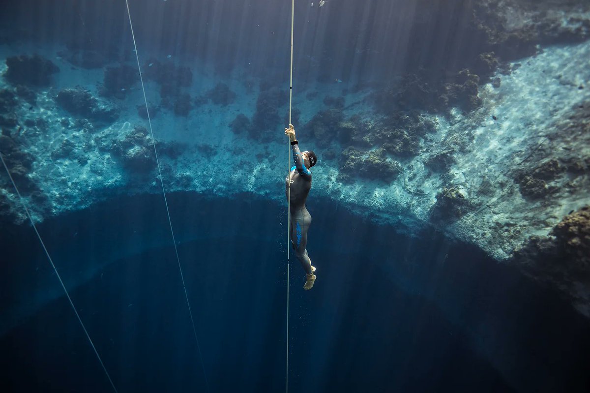 free_dive's tweet photo. WORTH the READ: 

https://t.co/H5KyLSVIwA 
a personal recounting by @WillTrubridge  of a dive that almost took him past the brink...

#freediving

(photo by Alex St. Jean) https://t.co/XWwk0WQlK2