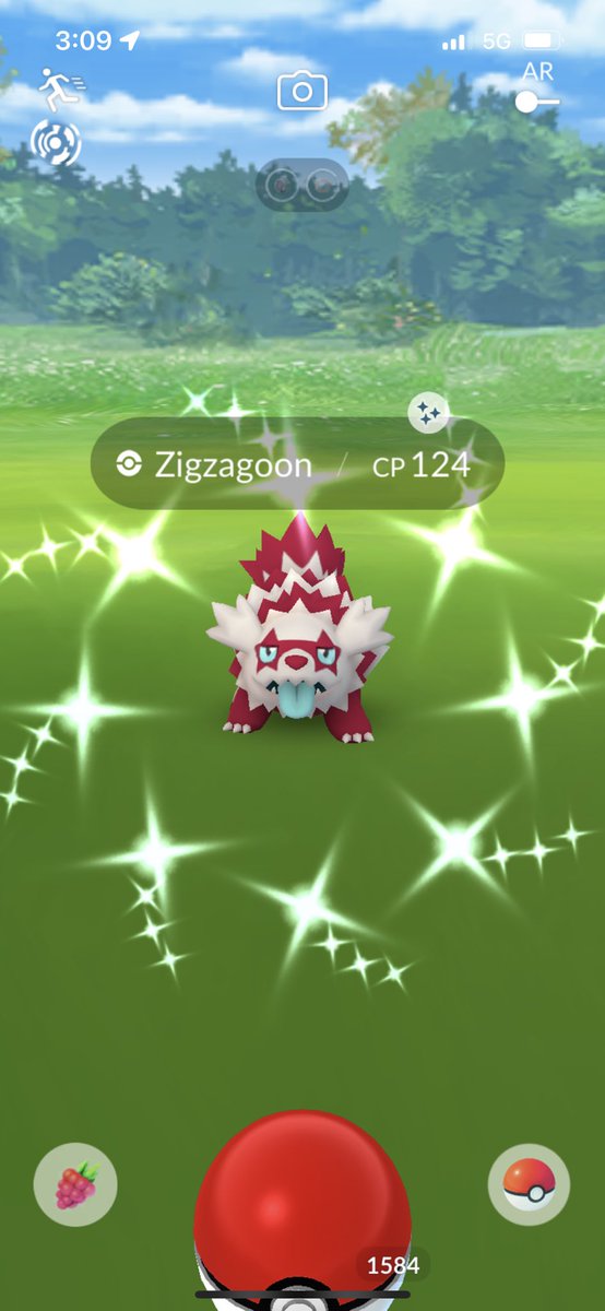 Colby Fitz tweet media