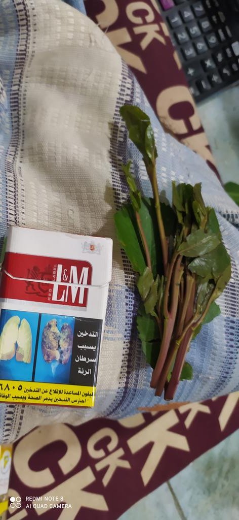 theone9199's tweet photo. يحلى ناقص ونيسه او سالب https://t.co/8Bnkh80Td7