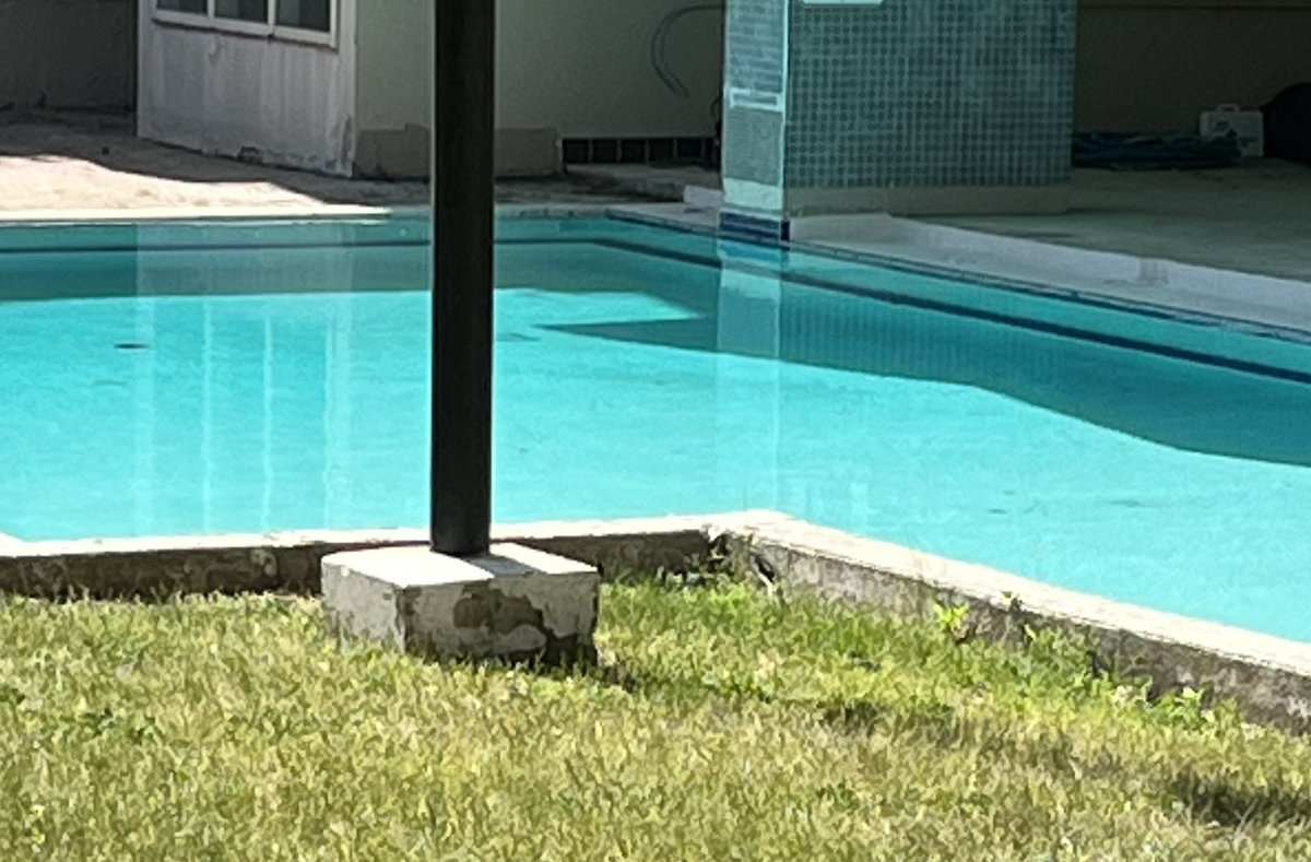 MikeyTigerLicks's tweet image. My allergies combined with the heat &amp;amp; humidity in this city are kicking my ass today, but on a positive note, our pool is officially open for the summer beginning tomorrow #SplishSplash