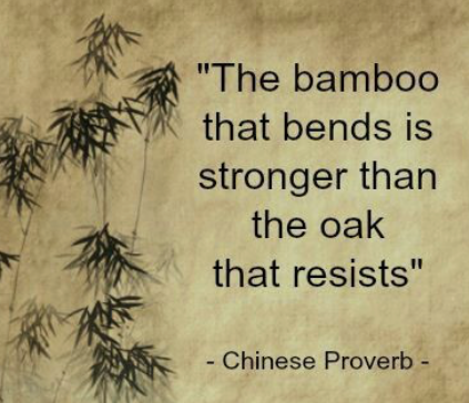 Come join us at <a href="/BTWasaga/">The Bamboo Terrace™</a> 291 Main St Unit 3, #WasagaBeach on July 1st 2023 for the Grand Re-Opening of the Dine-In experience! All are welcome. Keep bending, don't resist :)