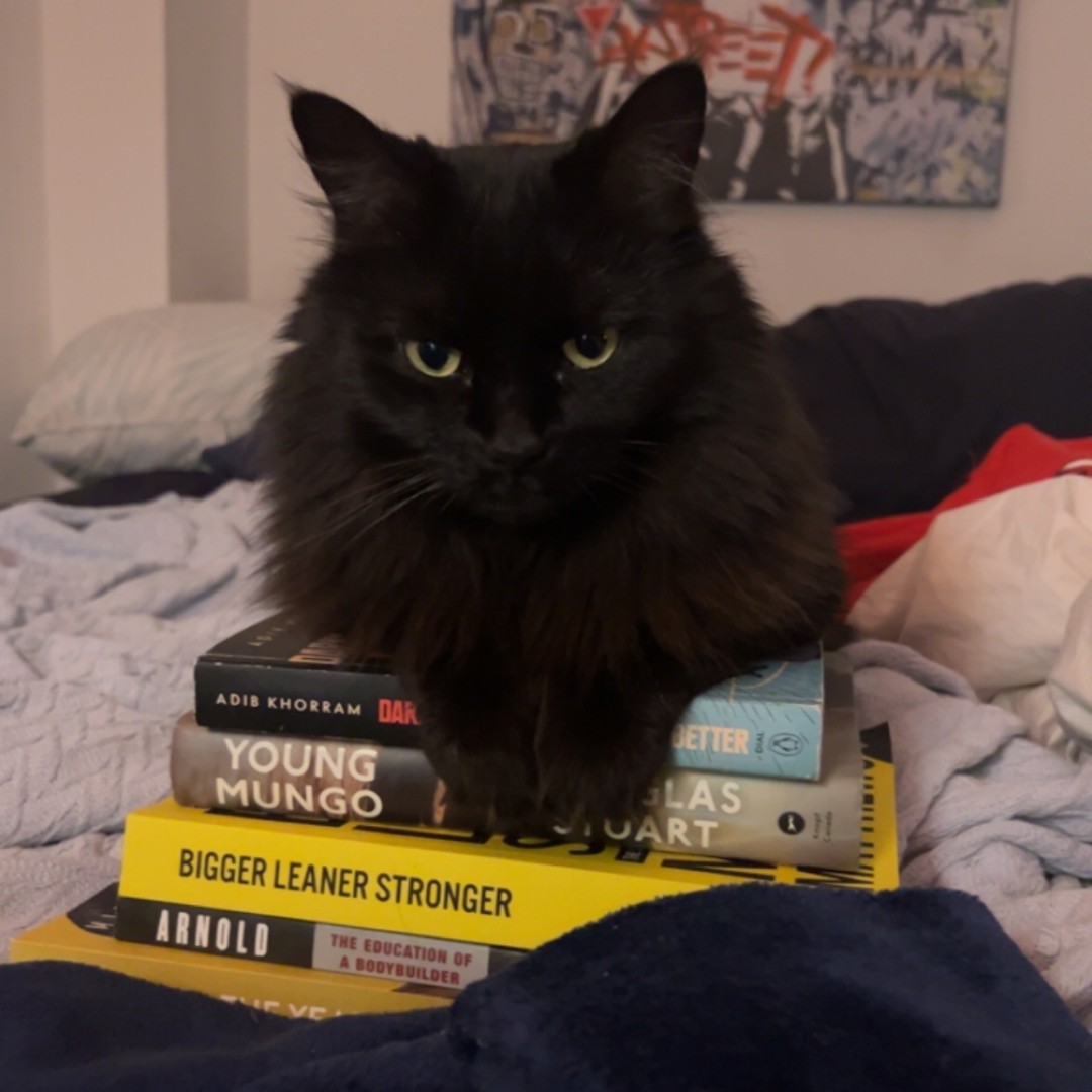 JaneAnimal's tweet photo. Hi everyone! This is Obi. He’s two years old , a Black British short hair with a gray patch on his belly ,declawed,  has health issues if not monitored and he’s super friendly. He was last seen on humbercrest Blvd. Please contact us if you have any info: 416-762-5558 https://t.co/DAO9eZNR0p