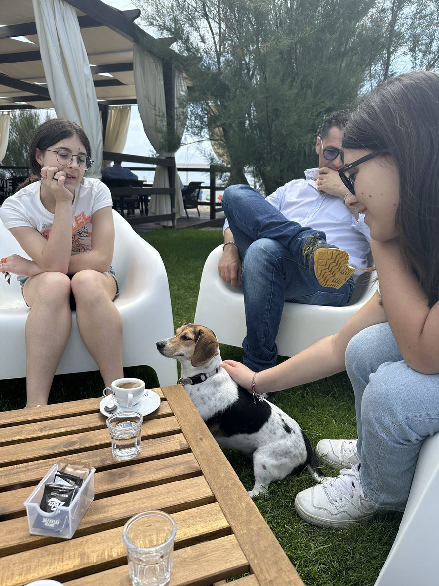 Among many wonderful things about Italy is that you can take your dog anywhere.