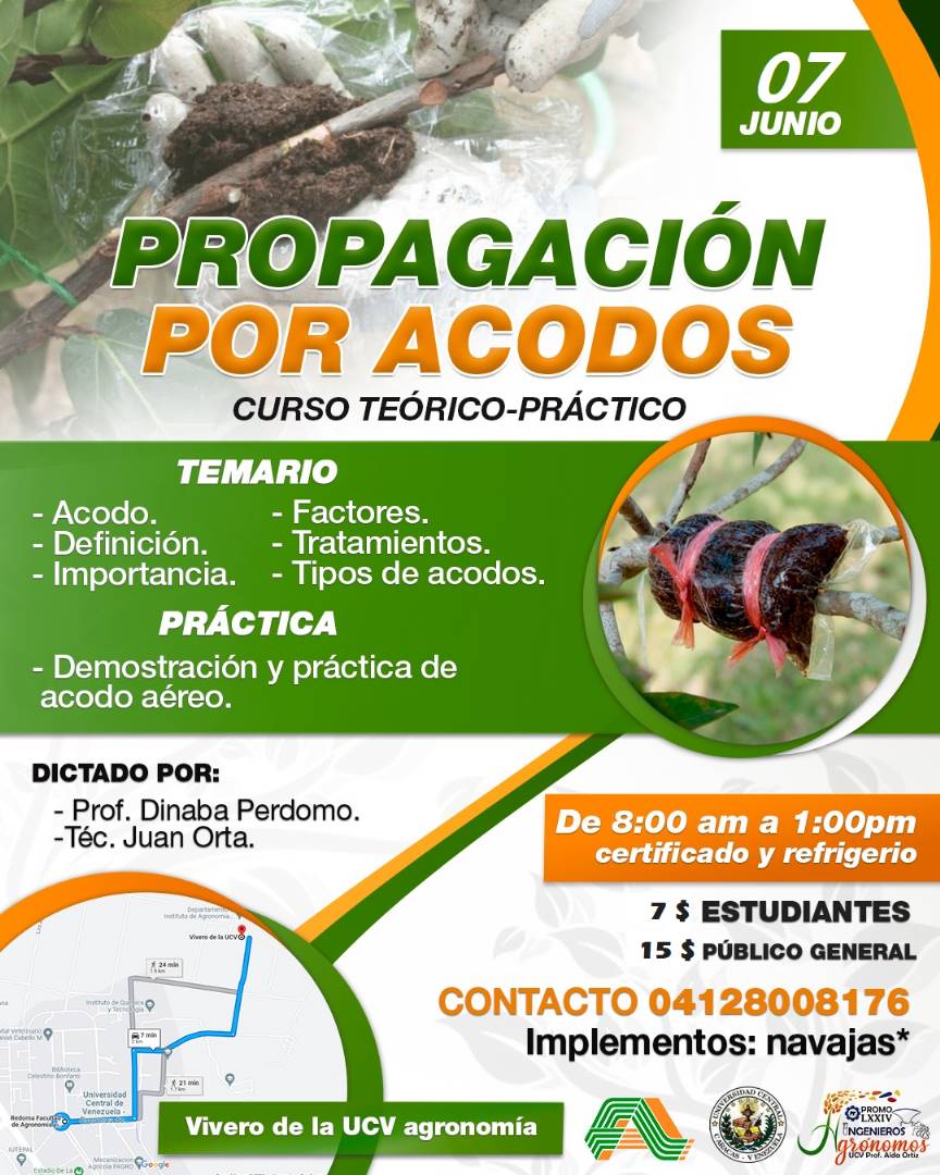 TrainerVenezo's tweet image. Curso pro fondo para la promoción LXXIV de Ingeniería Agronómica de la UCV de Aragua. #UCV #UCVFAGRO #Acodo #LXXIV #Curso #Propagación #CursoTeoricoPractico #Agronomía #Certificado