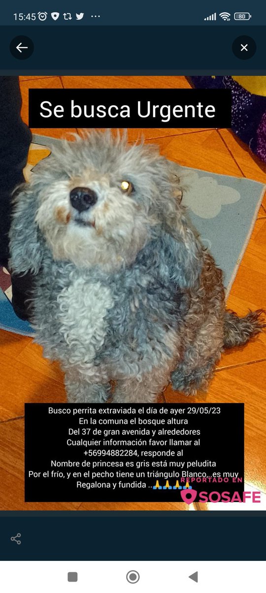 Sita Marce tweet media