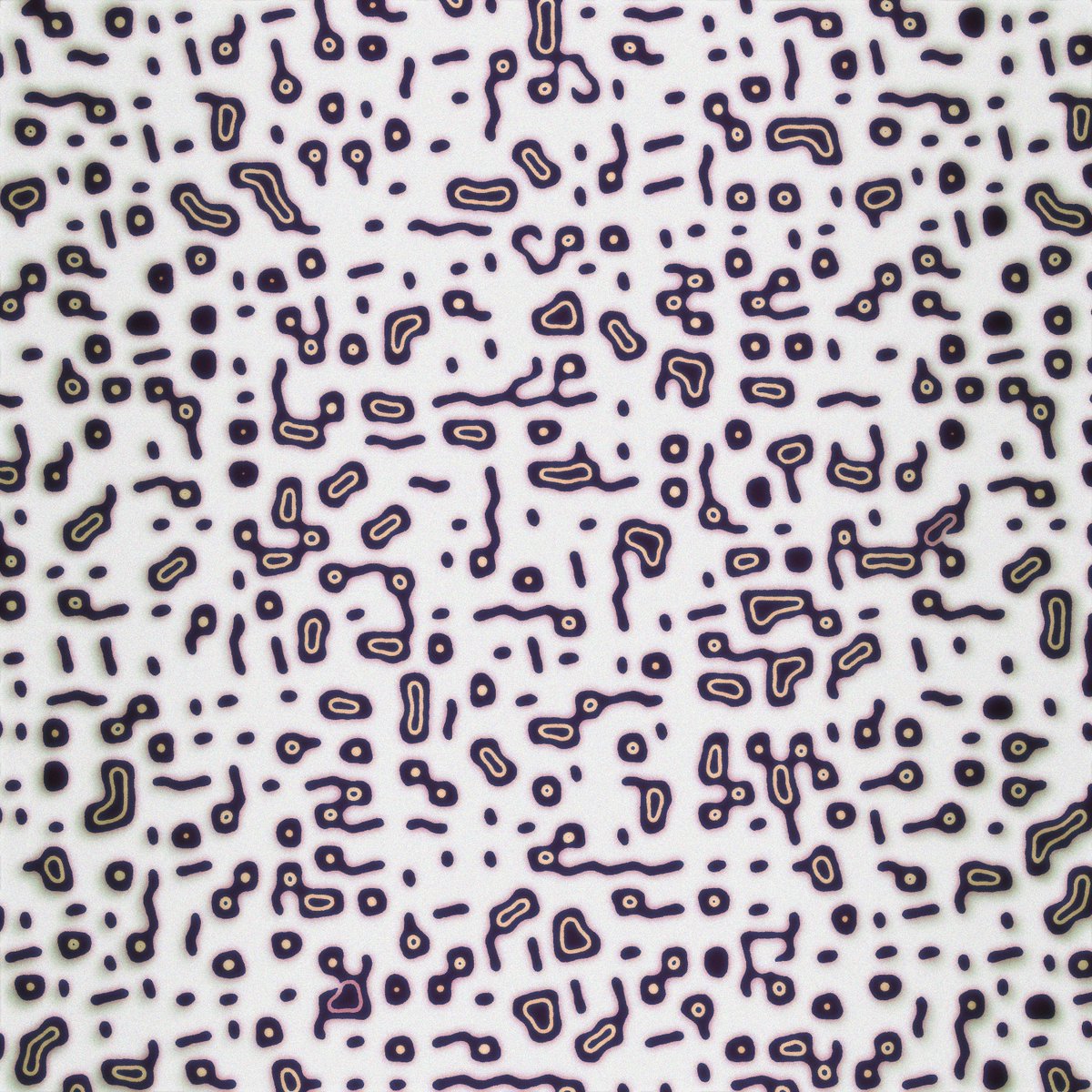 Zibaldone · Vermiform