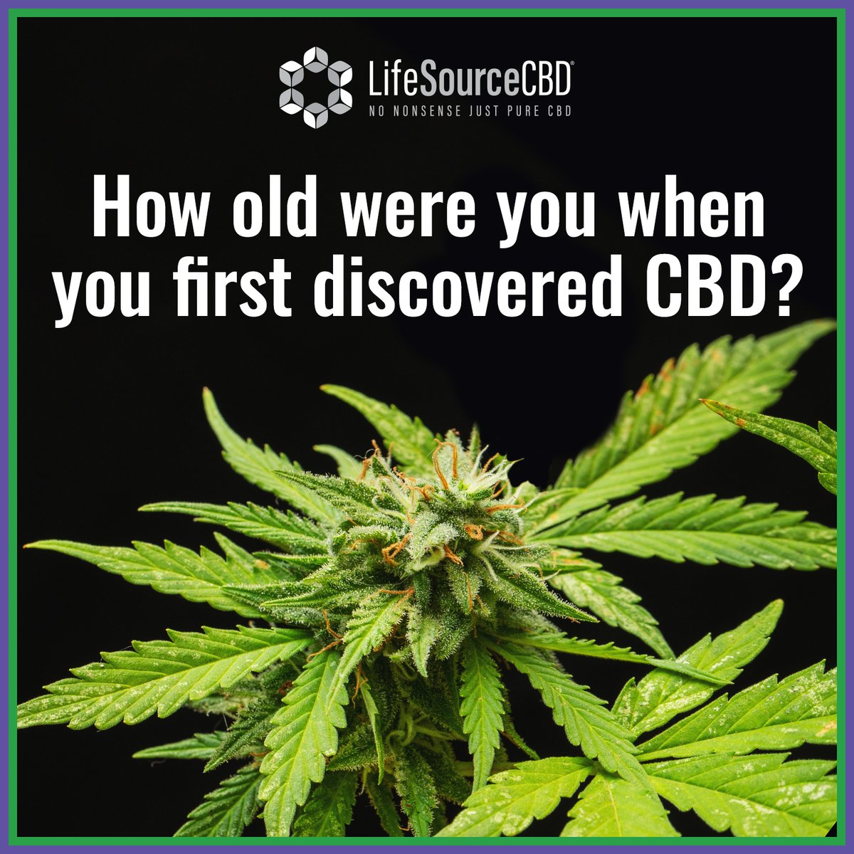 lifesourcecbd's tweet image. Do you remember the first time you tried CBD?
 
Share your story with us in the comments! 👇

#cbd #thc #hemp #cannabiscommunity #cbdoil #cbdhealth #cbdproducts #cannabisculture #cbdlife