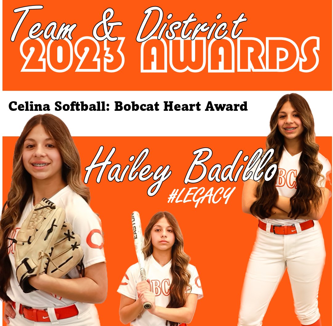 Celina Softball tweet media