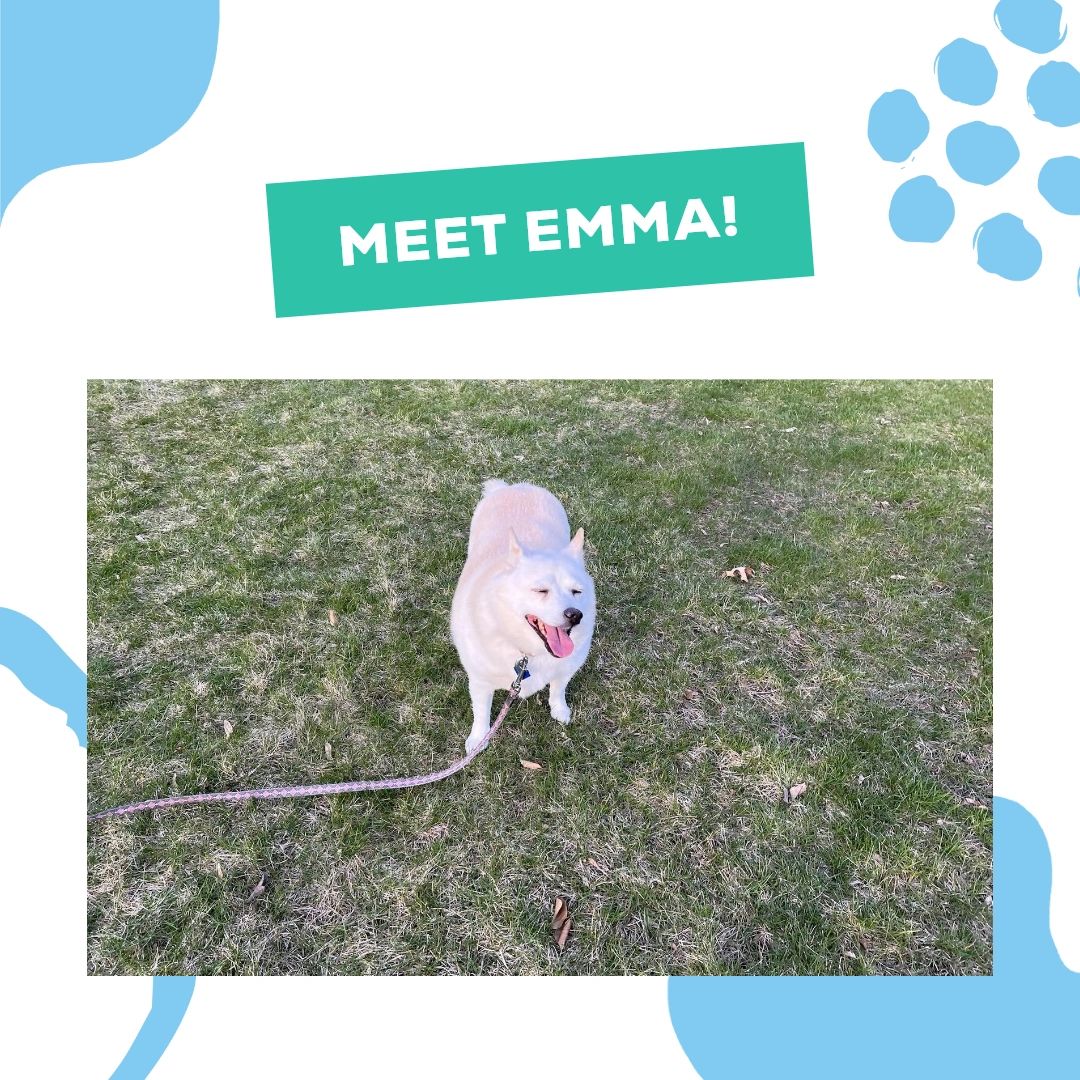 From Emma and all of us at Gupta Eye Center, we hope your weekend is all smiles! 🐶