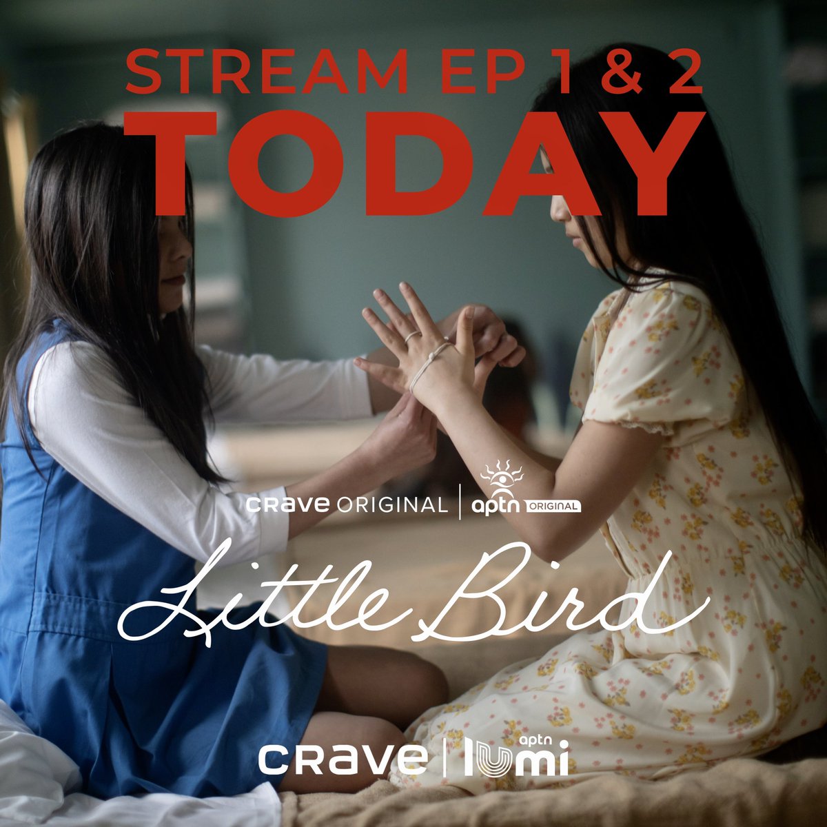 Little Bird tweet media