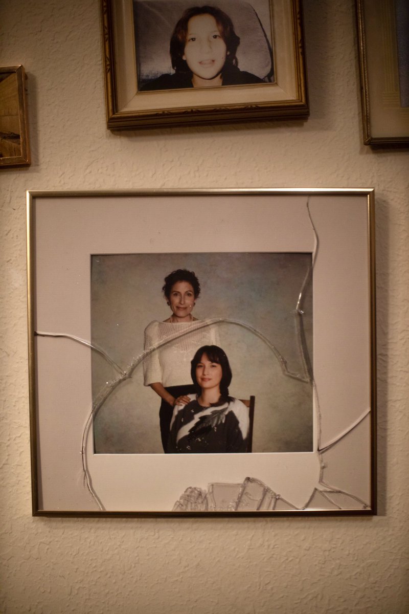 Little Bird tweet media