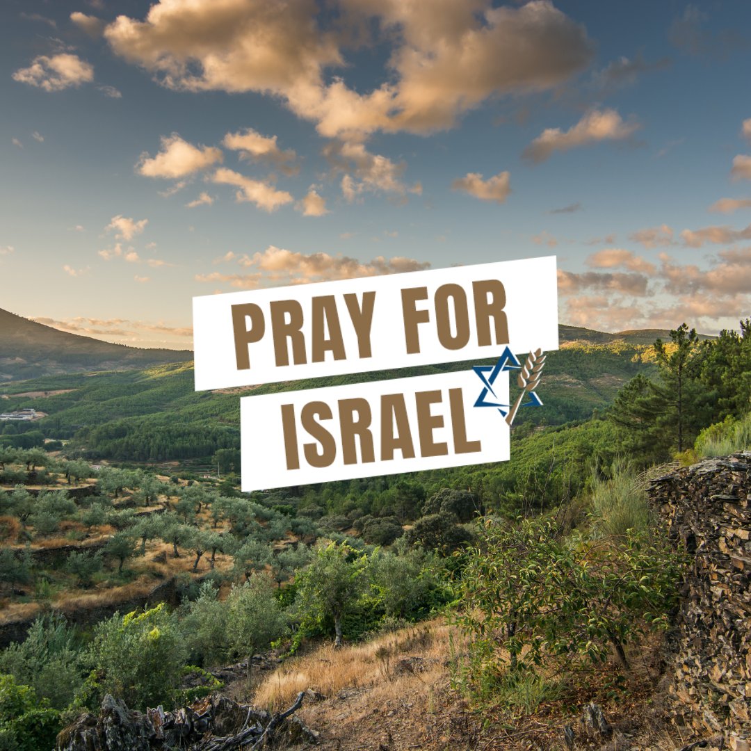 Retweet if you prayed for Israel today!​

#JewishVoice #PrayForIsrael #Believe #Prayer #Together #Israel #JewishPeople #ChosenPeople #PrayToGod #Pray