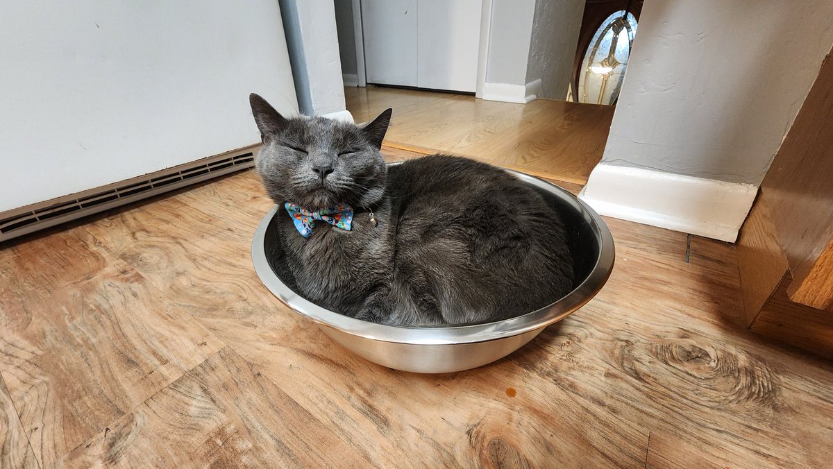 buddenhagenjack's tweet photo. @hankgreen Let him cook https://t.co/o4U4hPWm6O