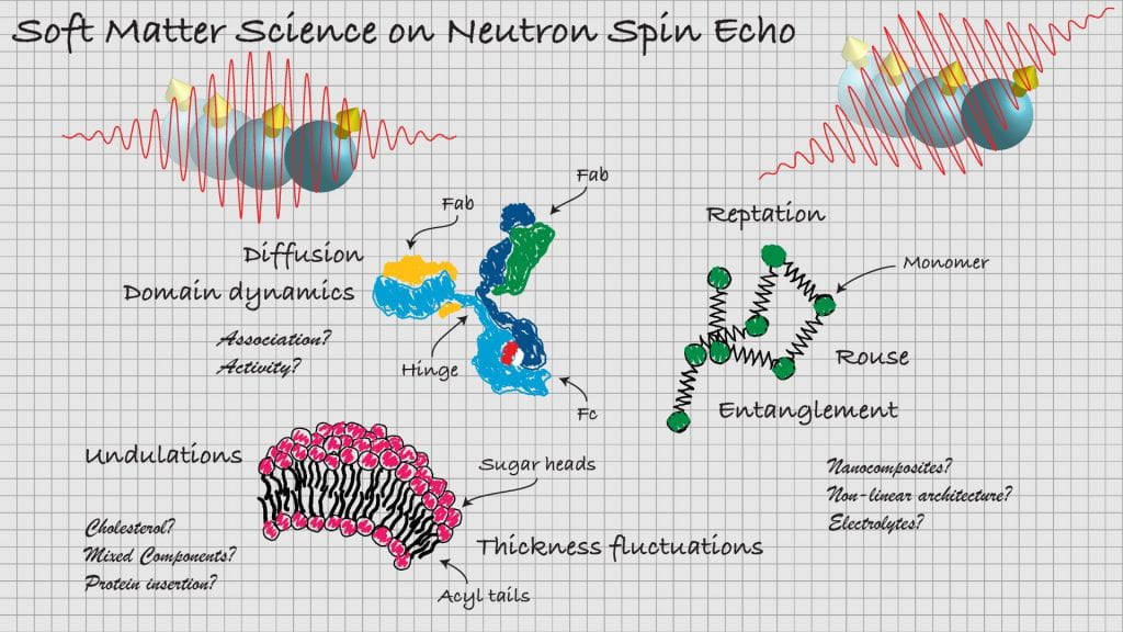 ORNLNeutrons's tweet photo. 🔔 Workshop Alert! Register by June 15 for @NIST's Neutron Spin Echo workshop Sept. 19-21 if you are a grad, postdoc, or early career with little or no experience with NSE spectroscopy. @ORNL's Laura Stingaciu will teach techniques and discuss NSE at SNS. https://t.co/YWV8EG1xUz https://t.co/OhjfYwzpY8