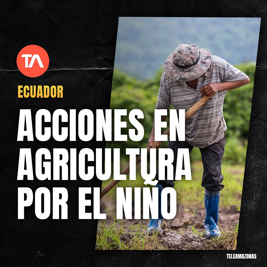 Teleamazonas tweet media